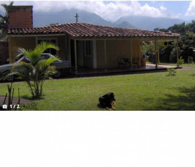SE VENDE FINCA EN LA VEREDA LA RENTA - EBEJICO