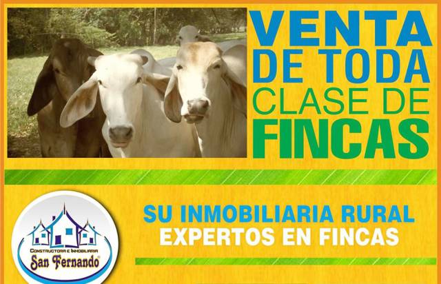 VENTA DE TODA CLASE  FINCAS EN LOS LLANOS COLOMBIANOS