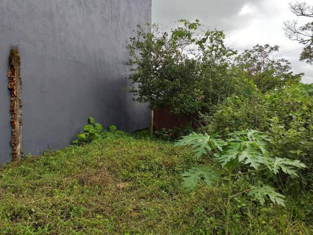 LOTE URBANO EN OFERTA ACACIAS META