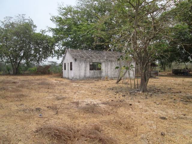 FINCA DE 7 HTS CON 700 MTS LINEALES SOBRE LA DOBLE CALZADA QUE COMUNICA A BARRANQUILLA CON CARTAGENA.