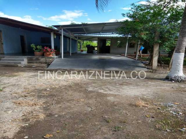 SE VENDE HERMOSA FINCA EN EL MUNICIPIO DE CAMPOALEGRE