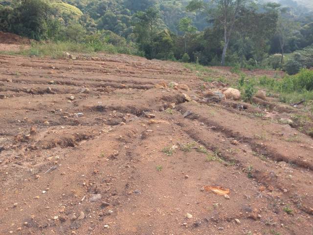 Vendo lotes en Urbanización Campestre