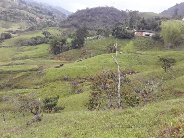 Venta de Finca en el Oriente Antioqueño via pavimentada y llega carro hasta la casa