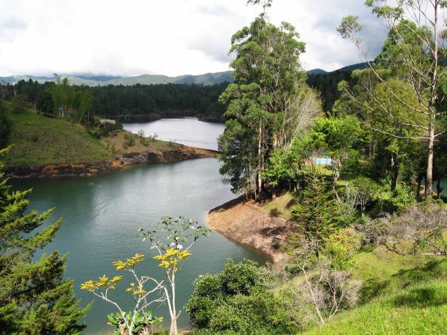 FINCA EL COLIBRI GUATAPE 3212959647