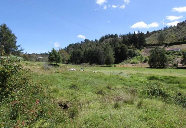 Lote en venta Guarne, vereda El Sango