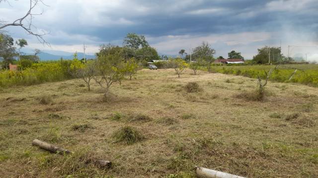 ZABALETA - ANDALUCIA, SE VENDE LOTE CAMPESTRE