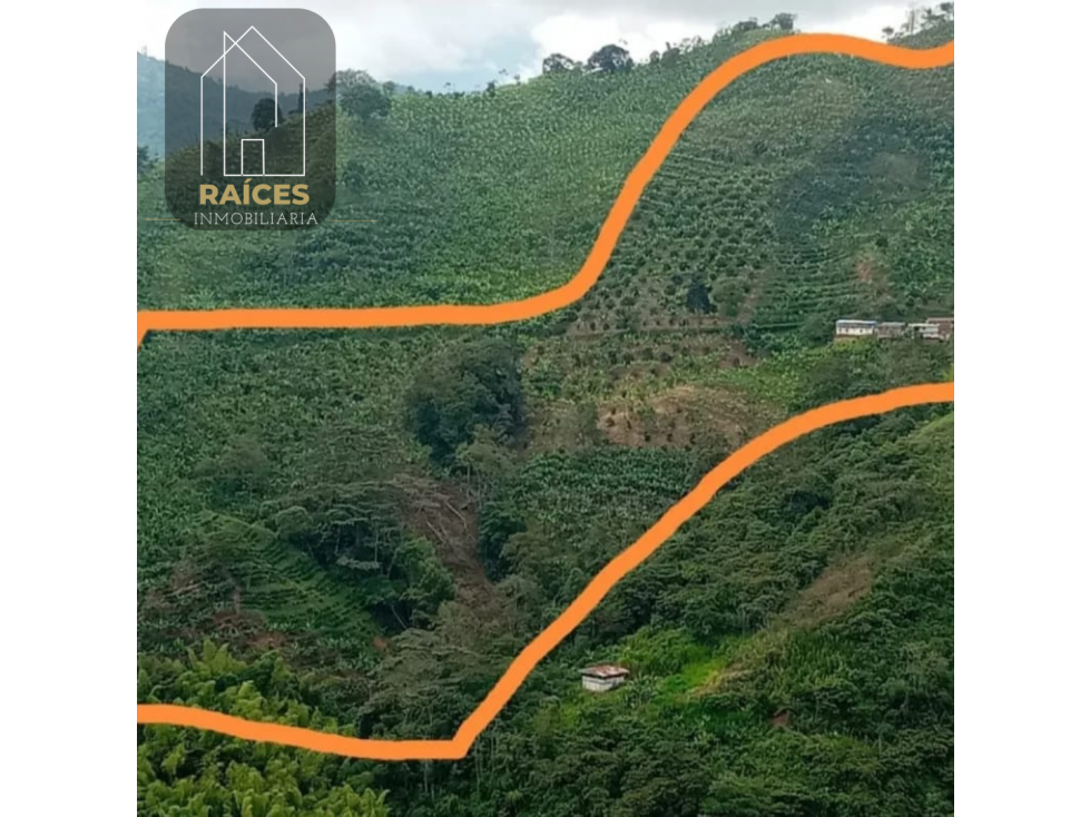 Se Vende Finca con cultivos varios