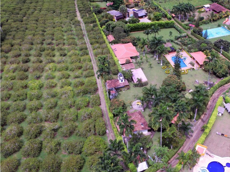 Vendo Finca En Cerritos Pereira