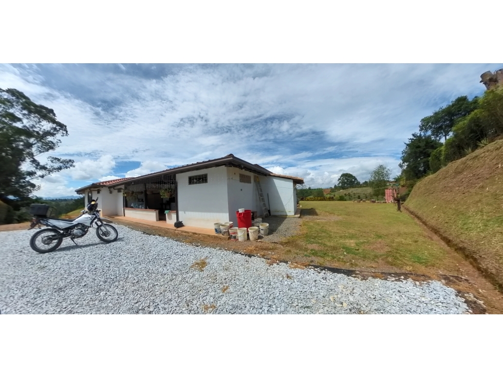 VENTA FINCA 6400 mts2 EL CARMEN DE VIBORAL VÍA RIONEGRO