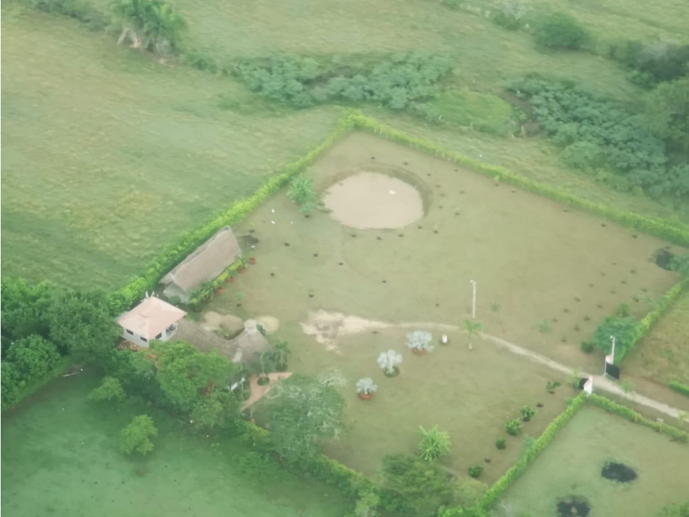 Venta Lote Tolima - Carmen de Apicalá