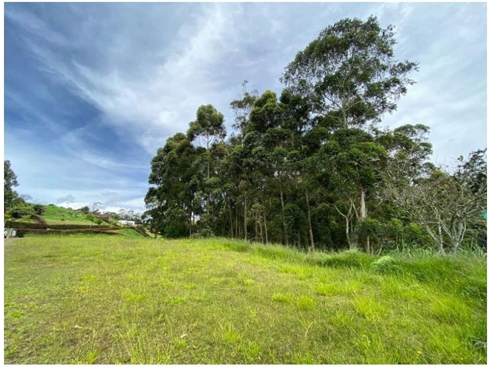 Venta de lote en El Carmen Antioquia