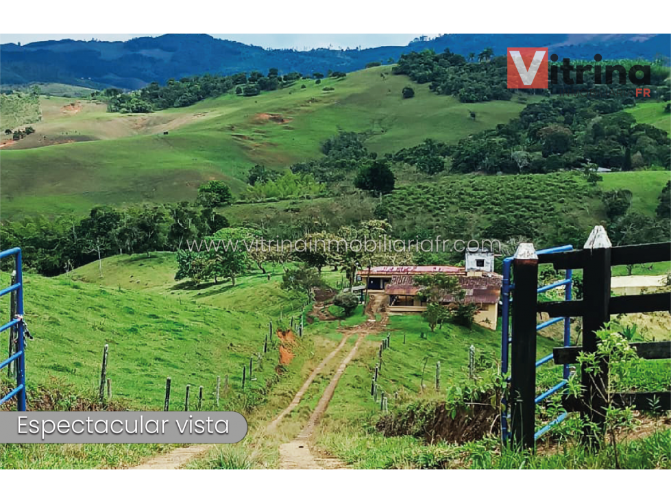 Vitrina Inmobiliaria vende finca en Valle del Cauca