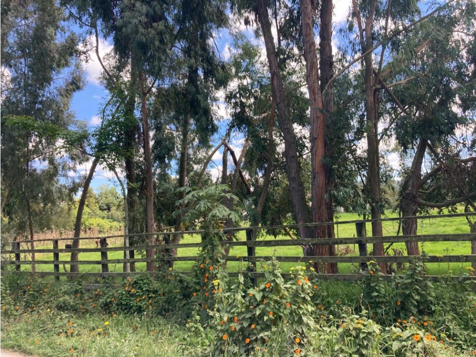 LOTE CON LICENCIA PARA LA VENTA, LA VALVANERA, CHIA, CUNDINAMARCA