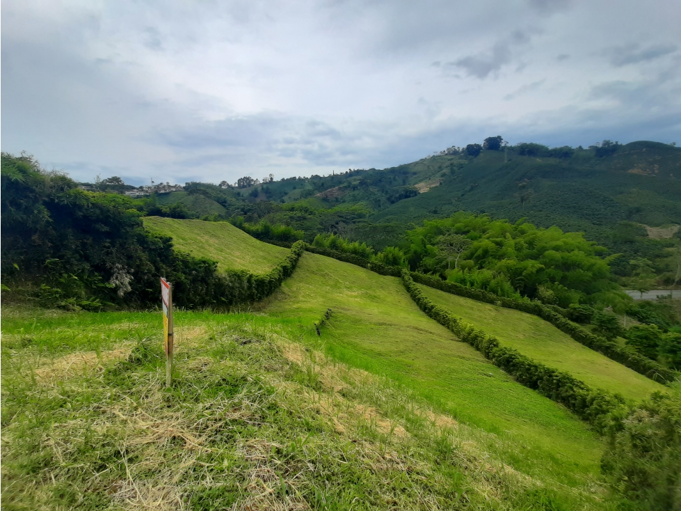 Venta Lote Conjunto Campestre en Chinchiná Cod 5204121