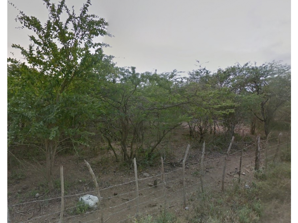 Lote,El Faro,Cartagena