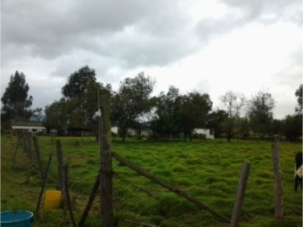 LV052 Lote Venta Vereda Canavita Tocancipá CUNDINAMARCA