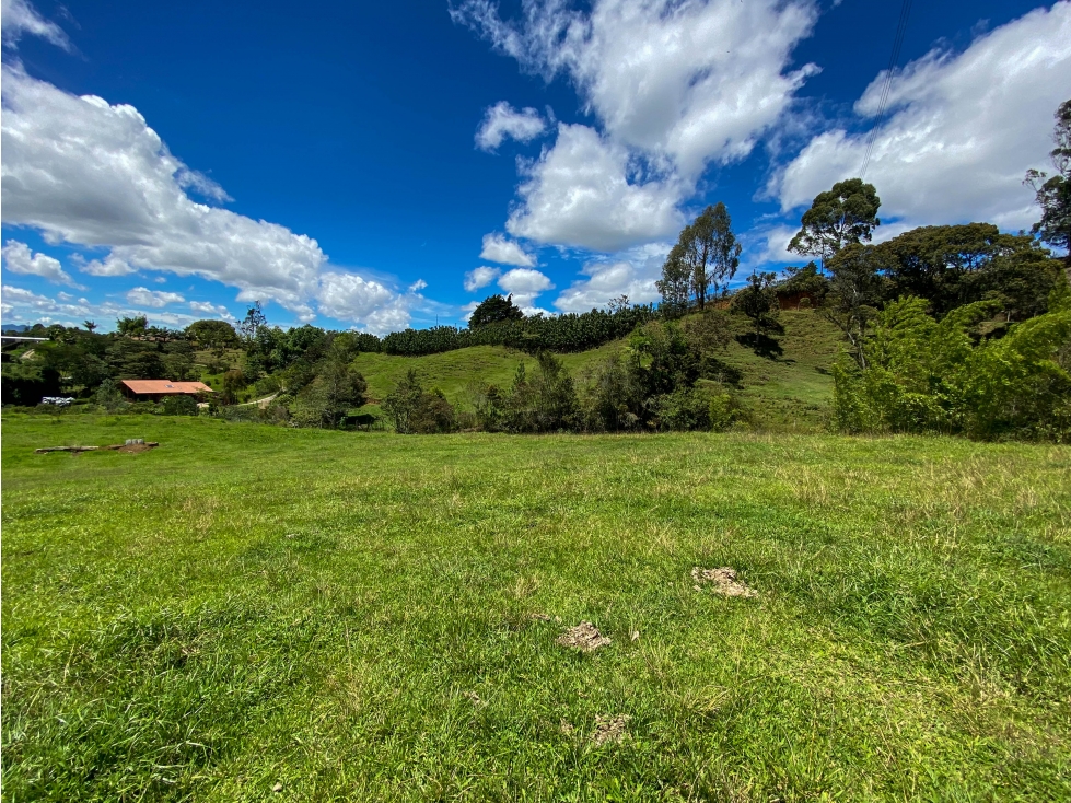 Lote para la venta en Rancherías