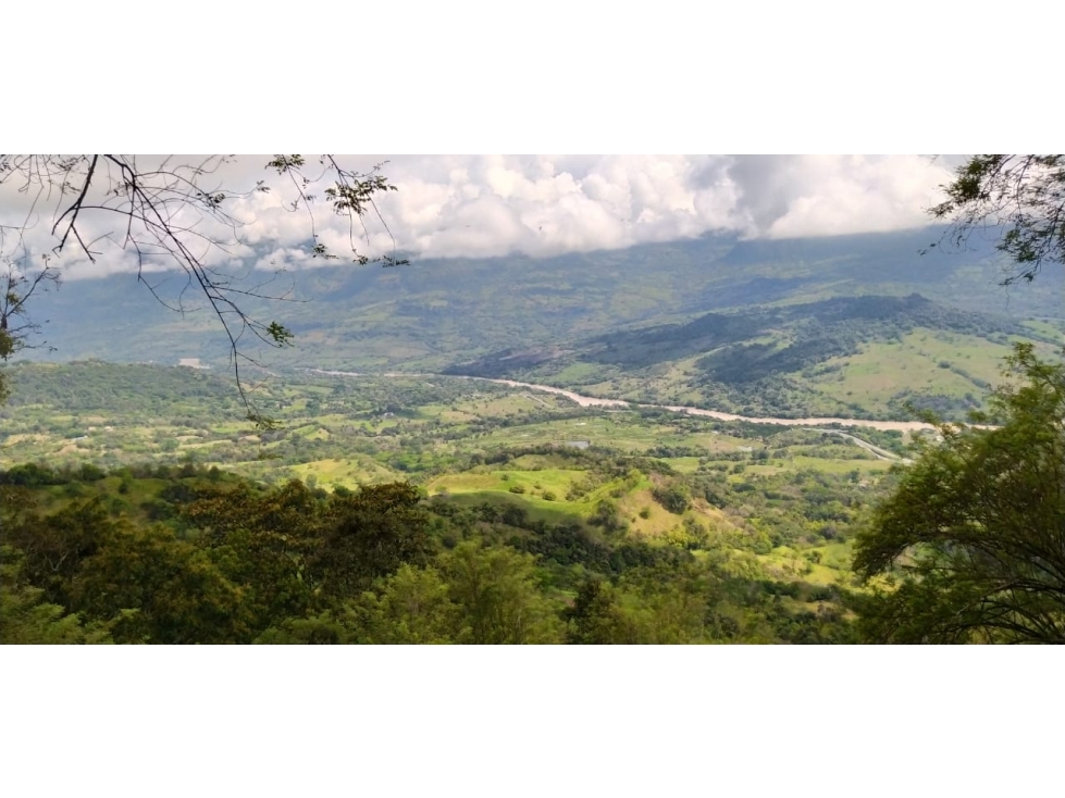 VENTA FINCA JERICO, SUROESTE ANTIOQUEÑO