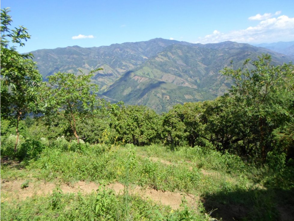 VENTA FINCA SANTA BÁRBARA, SUROESTE ANTIOQUEÑO