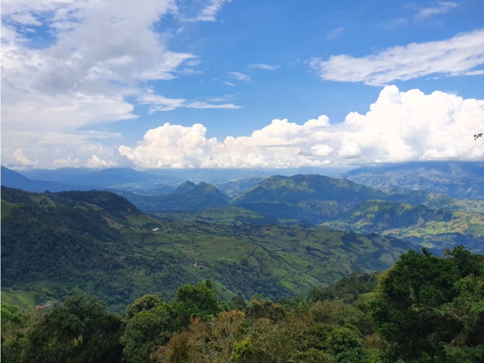 LOTE RURAL CARAMANTA ANTIOQUIA