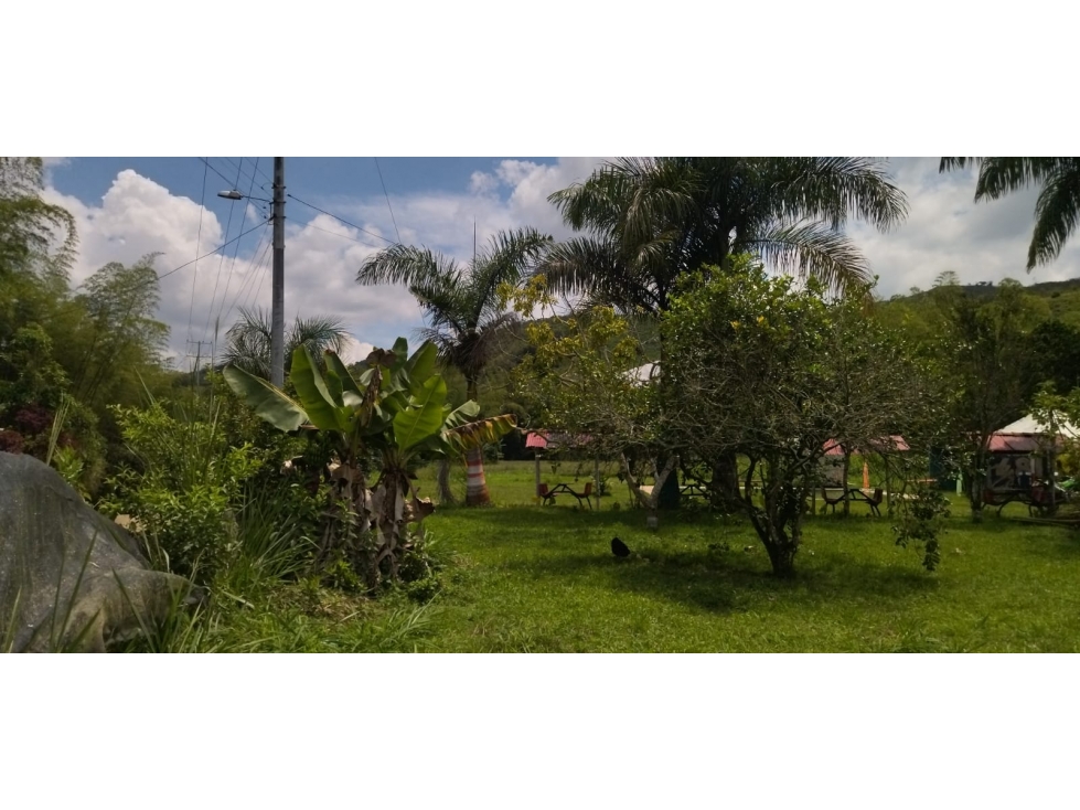 se vende finca en vijes