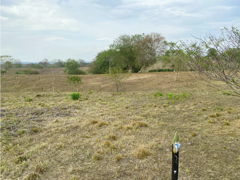 Lote en venta Proyecto Campo Alegre Manzana 1- Lote 11 de 1095.35 M2