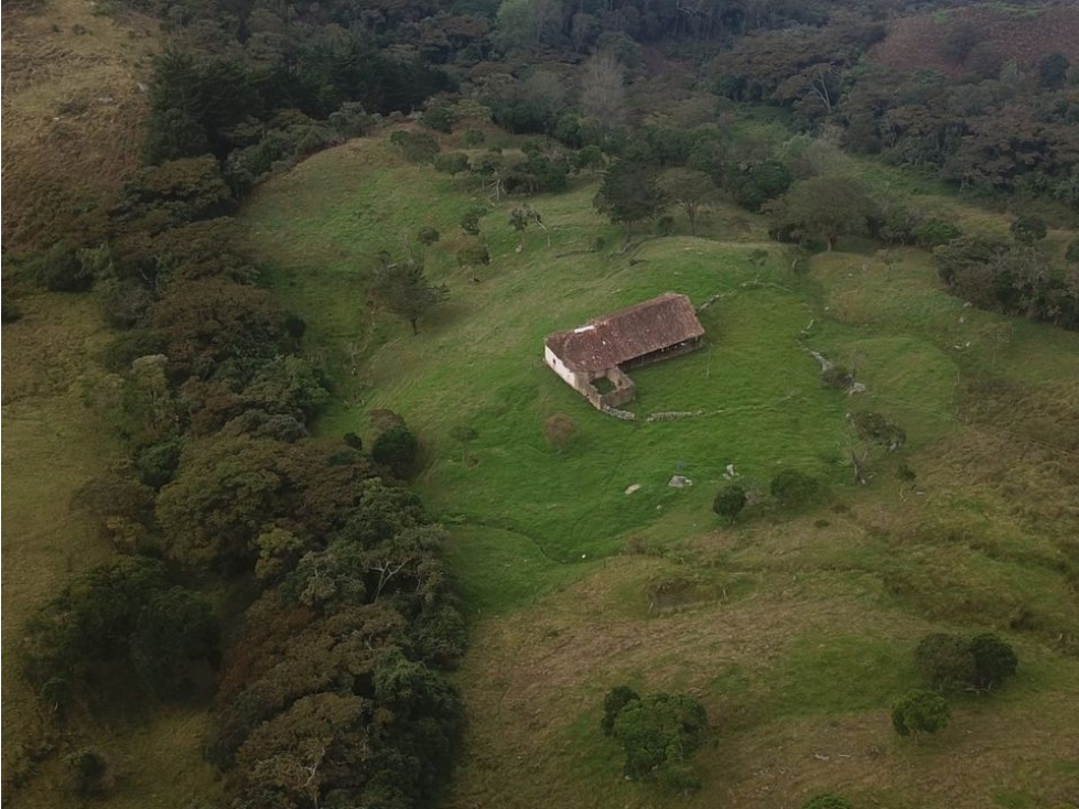 GRANJA ECONOMICA EN CHINACOTA