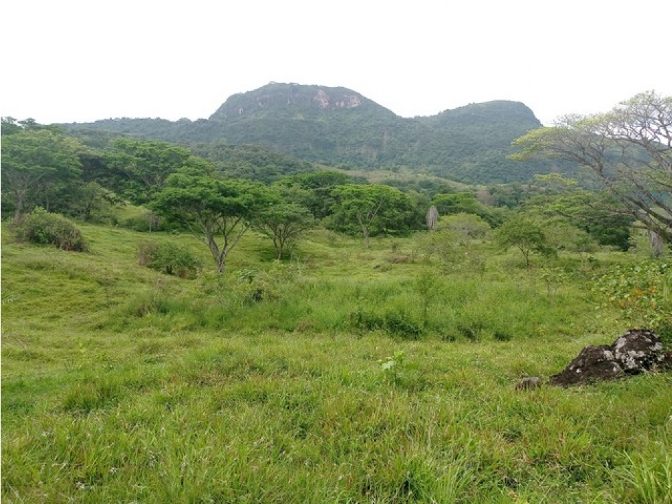 VENDO LOTES CON VISTA A FARALLONES DESDE 2.703 m² EN LA PINTADA