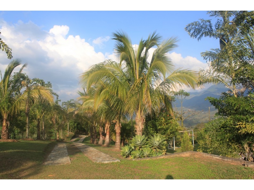 VENDO LOTE DE 1 Ha CON CASA SENCILLA EN PARCELACIÓN CERRADA EN BARBOSA