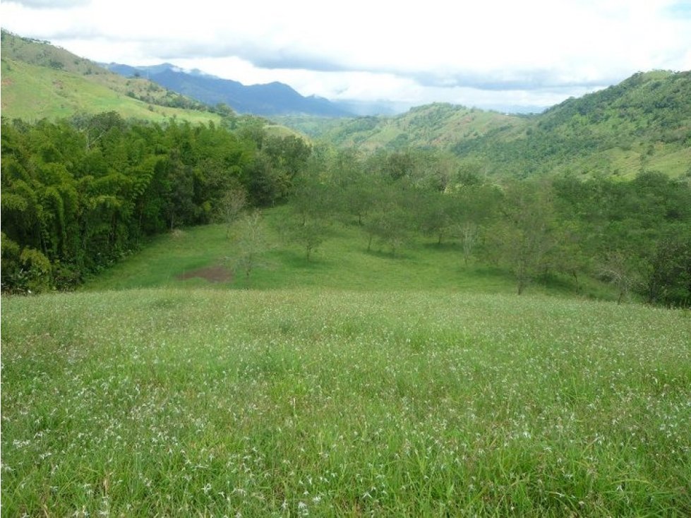 Venta Lote Santagueda, Palestina