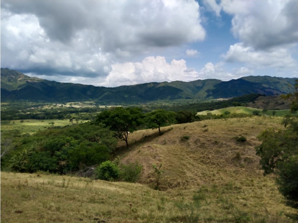 Ganga!! finca en Tocaima 28 hectáreas.