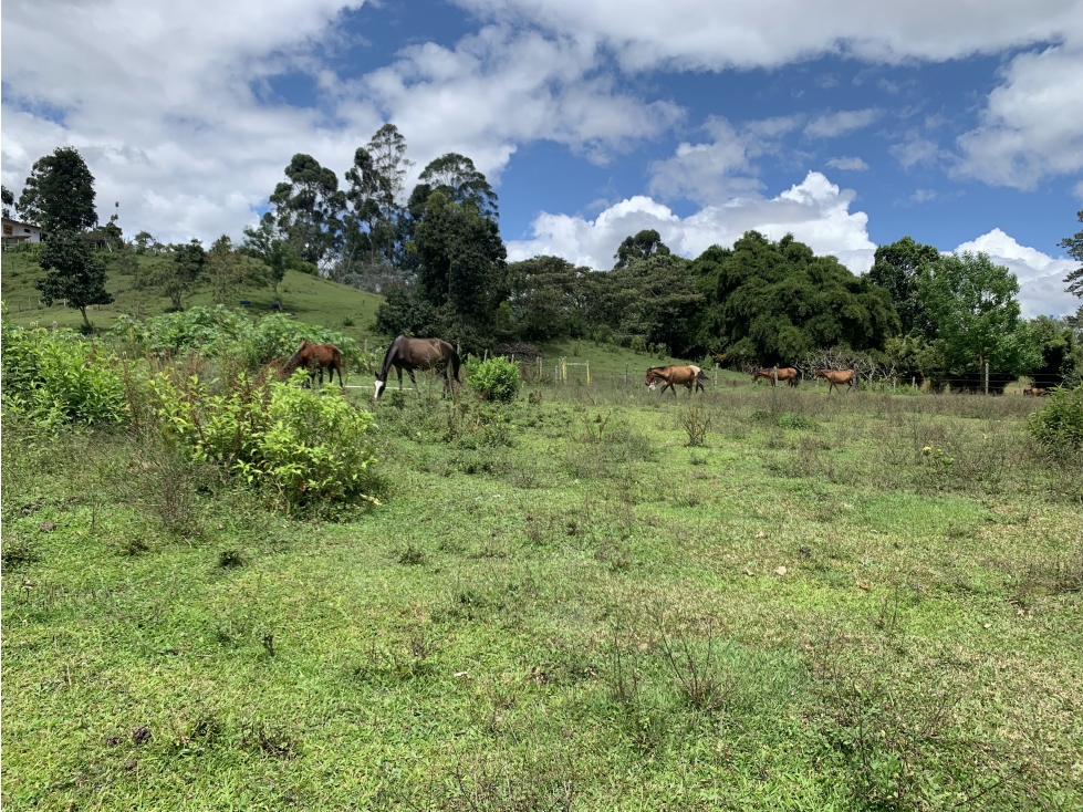 VENTA DE LOTE EN EL TABLAZO