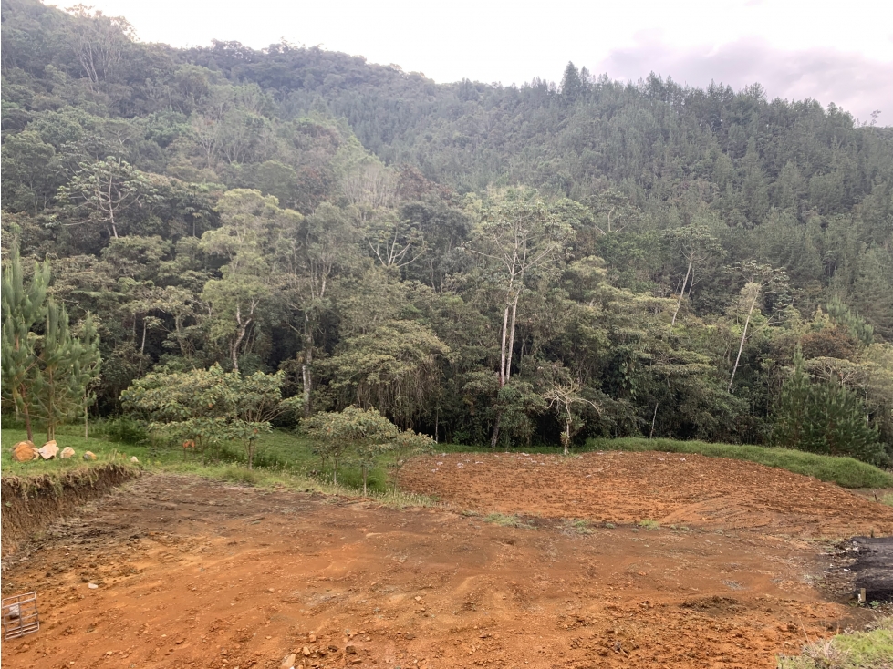 VENTA DE LOTE EN LA CEJA SECTOR EL TAMBO