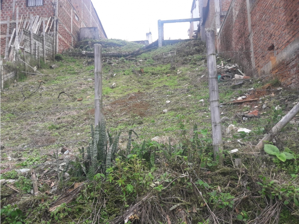 Venta lote comercial en Buenavista Quindio