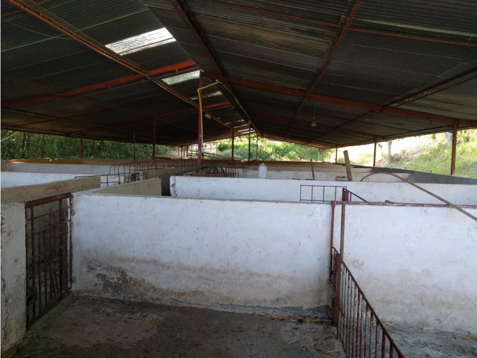 Lotes en restrepo valle del cauca la cumbre en venta. (C.P)