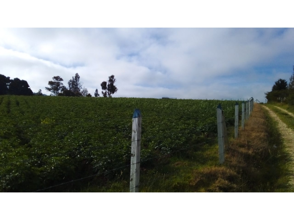 VENDO FINCA EN PAIPA BOYACA , VENTA DEL LLANO, PANTANO DE VARGAS