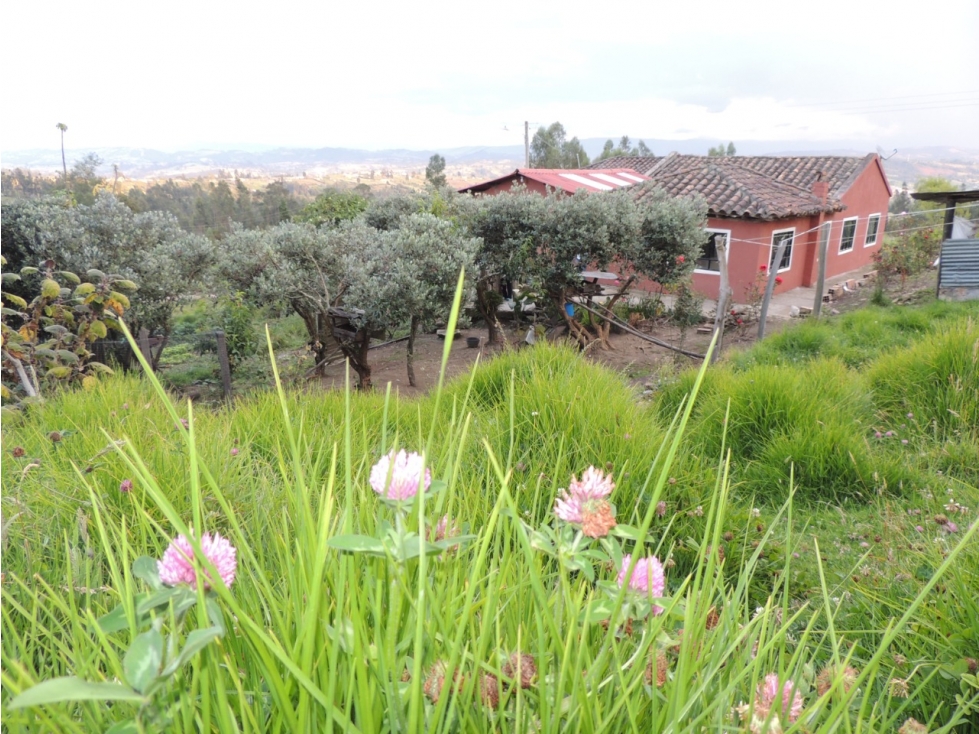 VENDO HERMOSA FINCA EN SOTAQUIRÁ BOYACA