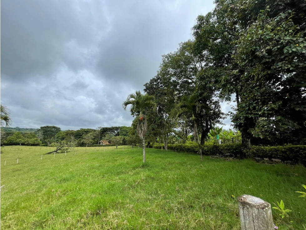 SE VENDE LOTE FINCA A 1.5 KM DE TEBAIDA