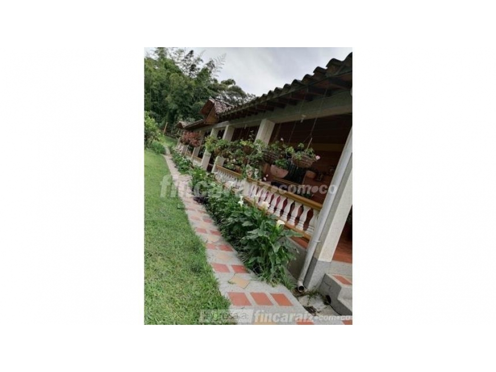 Venta Finca, La Mosca, Guarne, Antioquia