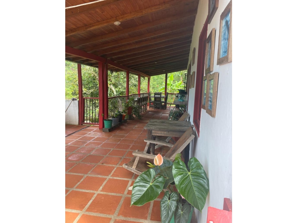 Venta Finca, La Garrucha, Fredonia, Antioquia