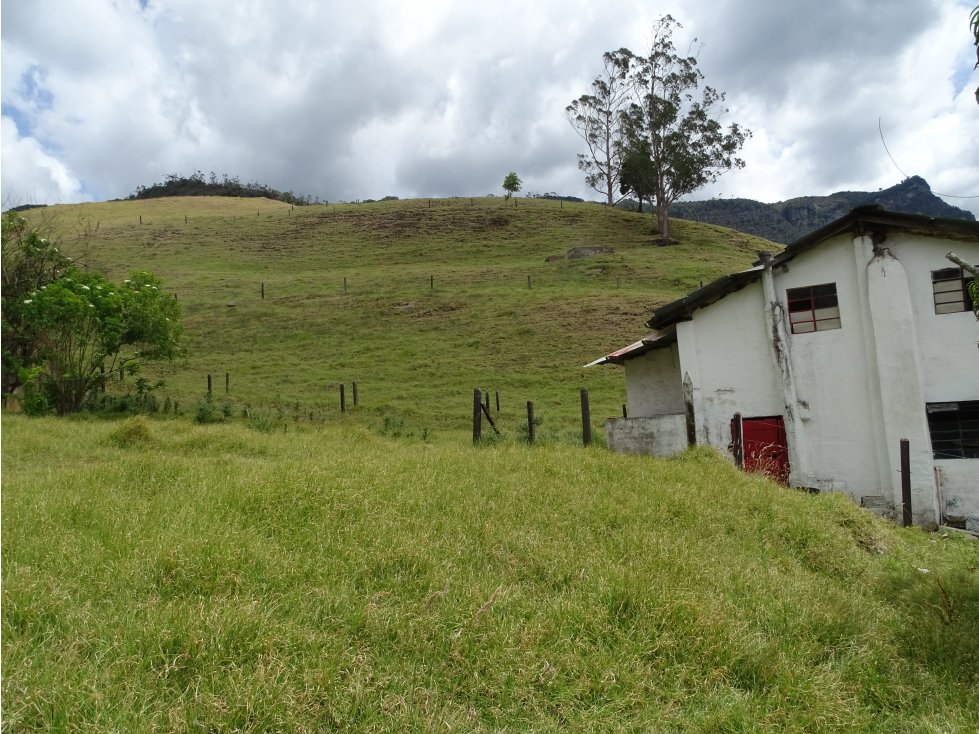 FINCA en PACHO - Vereda NEGRETE - 2.1 ha