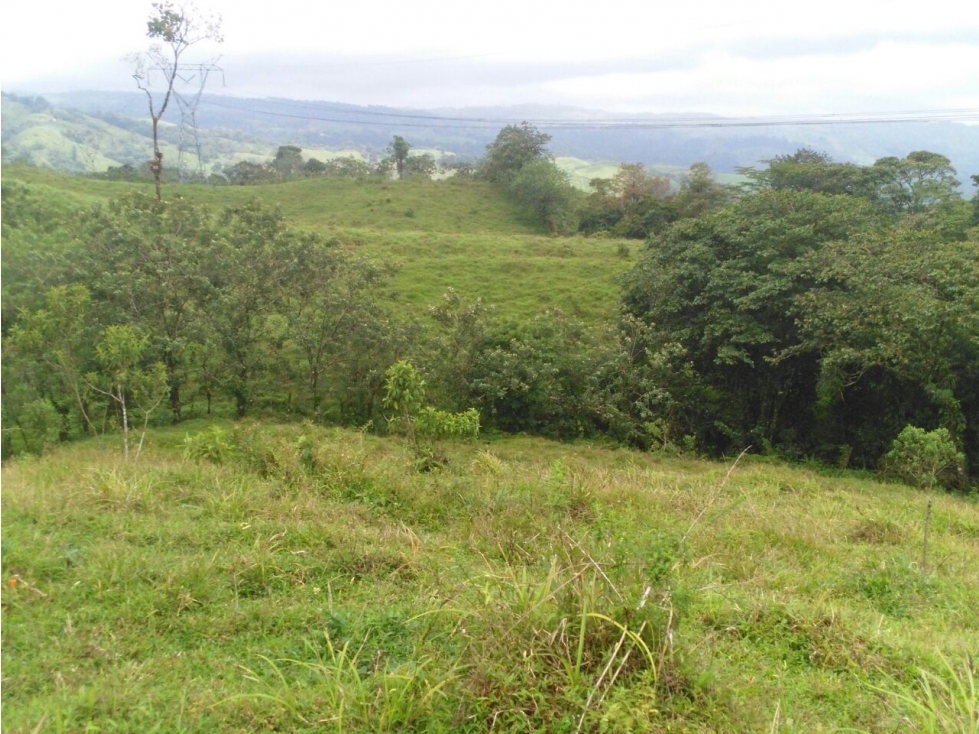 Finca de 18 Hectáreas, apropiada para la ganadería