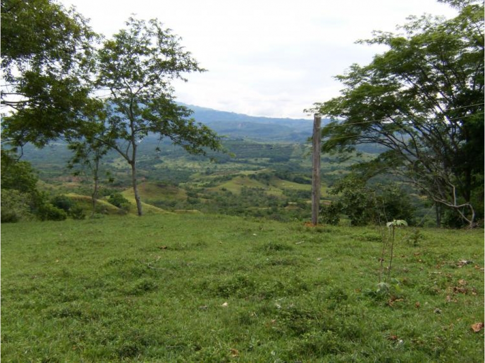 Finca de 32.000 m2, Agropecuaria con dos nacederos en Pacho