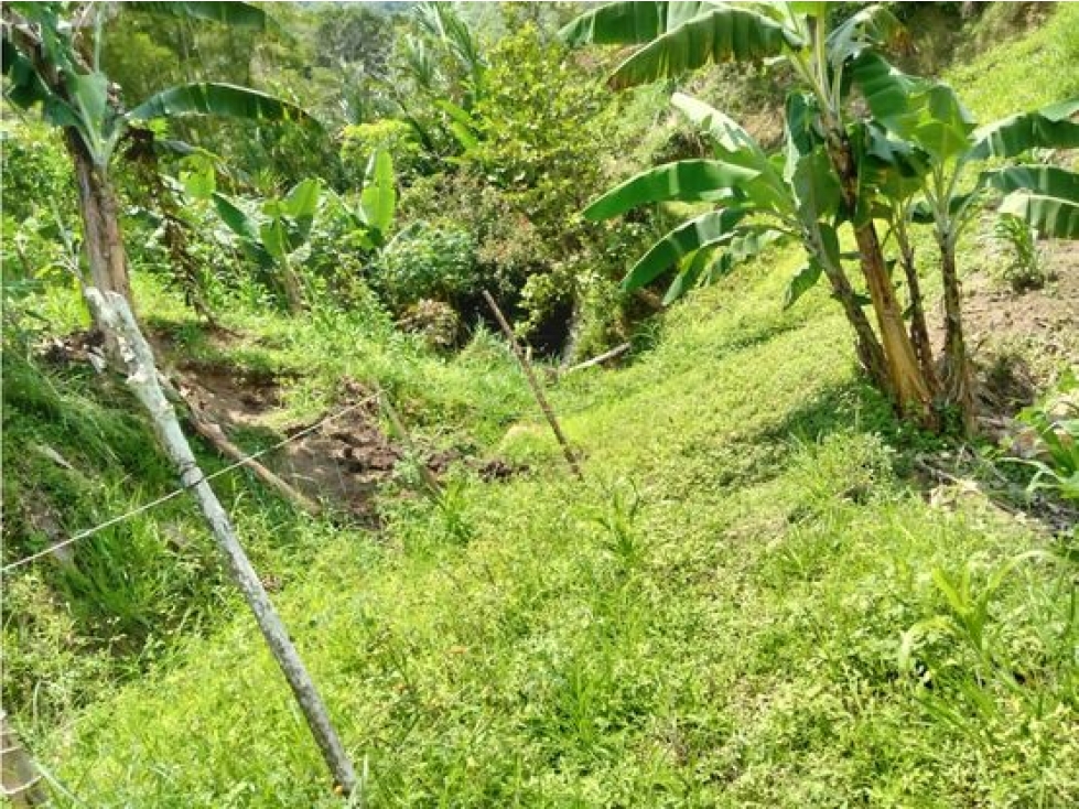 VENTA DE LOTE EN BARBOSA ANTIOQUIA