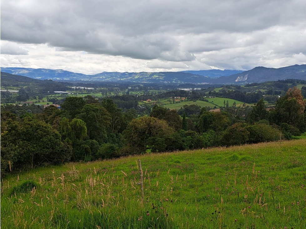 VENTA FINCA COGUA