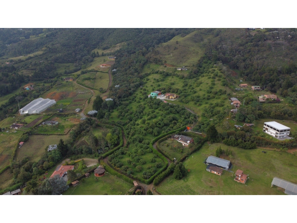 VENTA FINCA 26.500 mts2 GUARNE VEREDA LA CLARA