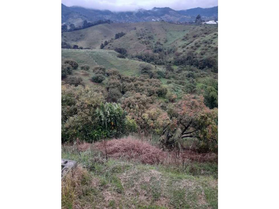 Vendo terreno 11 cuadras en el Carmen de Viboral Ant.REF