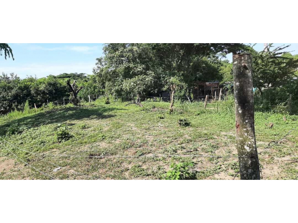 Lote de 2000m2 a 200mtrs del mar palomino 011