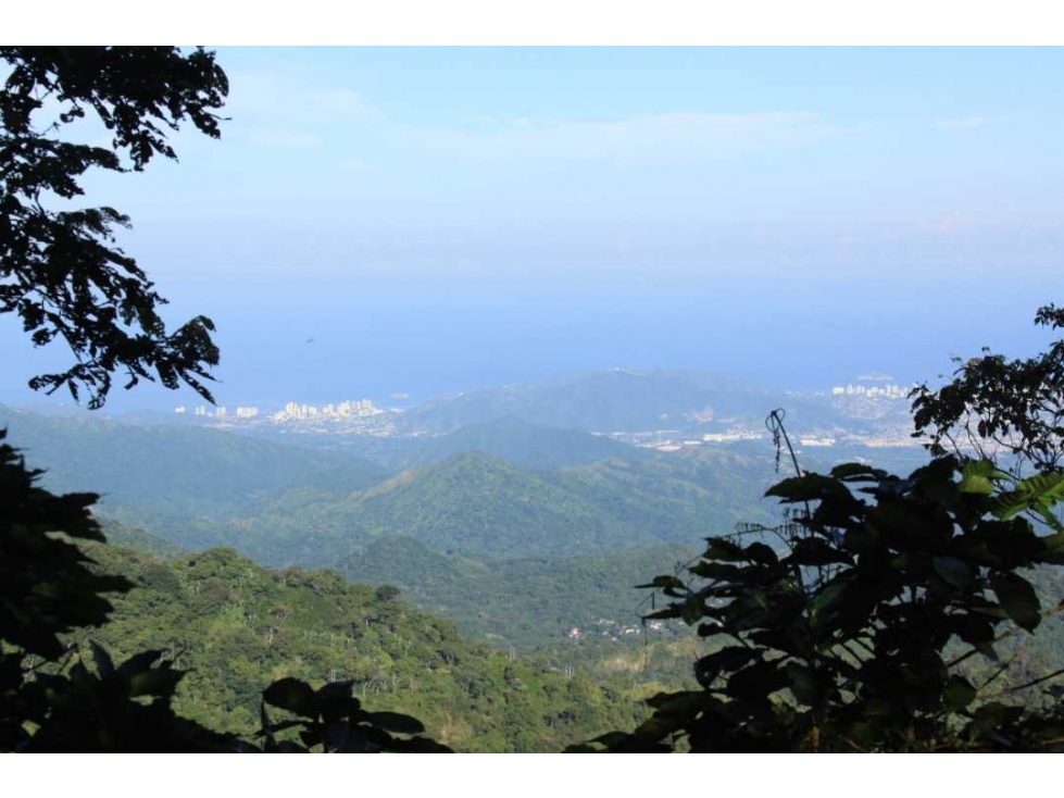 Hermosa finca vacacional y cafetera de 1 hectárea en el campano