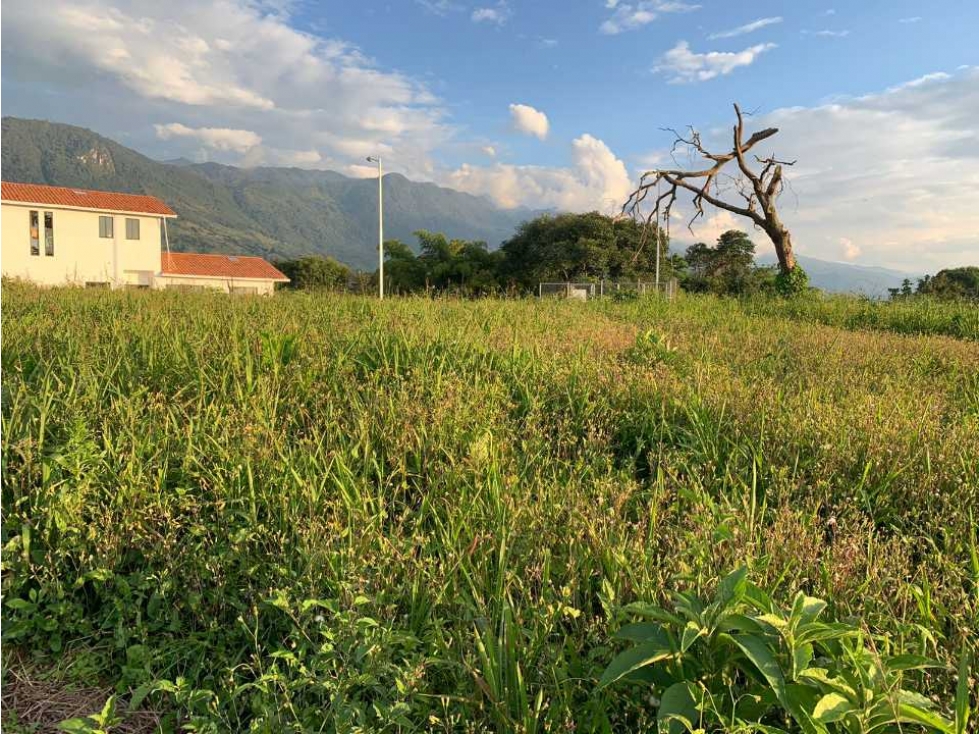 Lote campestre para la venta en calarca con vista a la cordillera